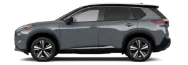 Rogue