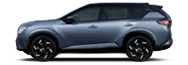 Rogue Hybrid